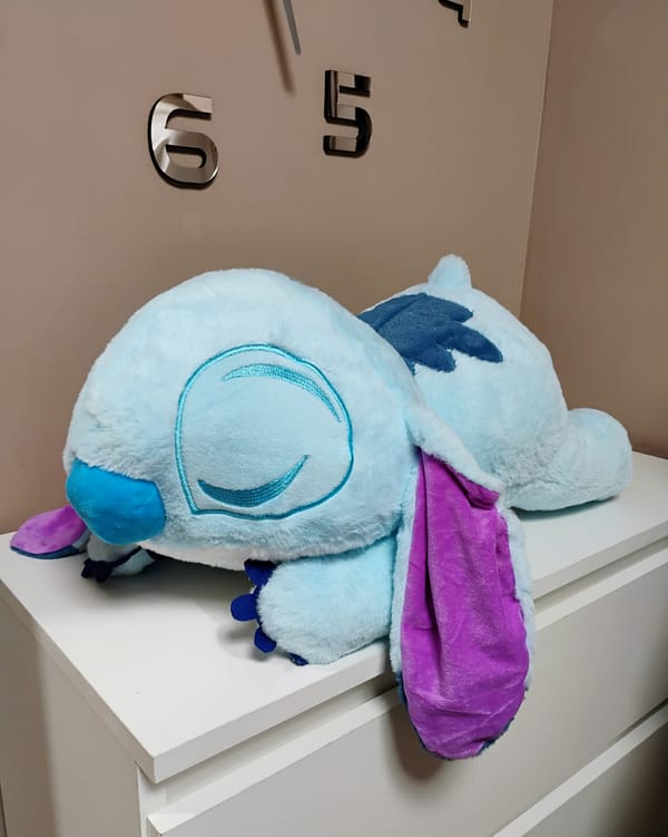 Stitch z kocem